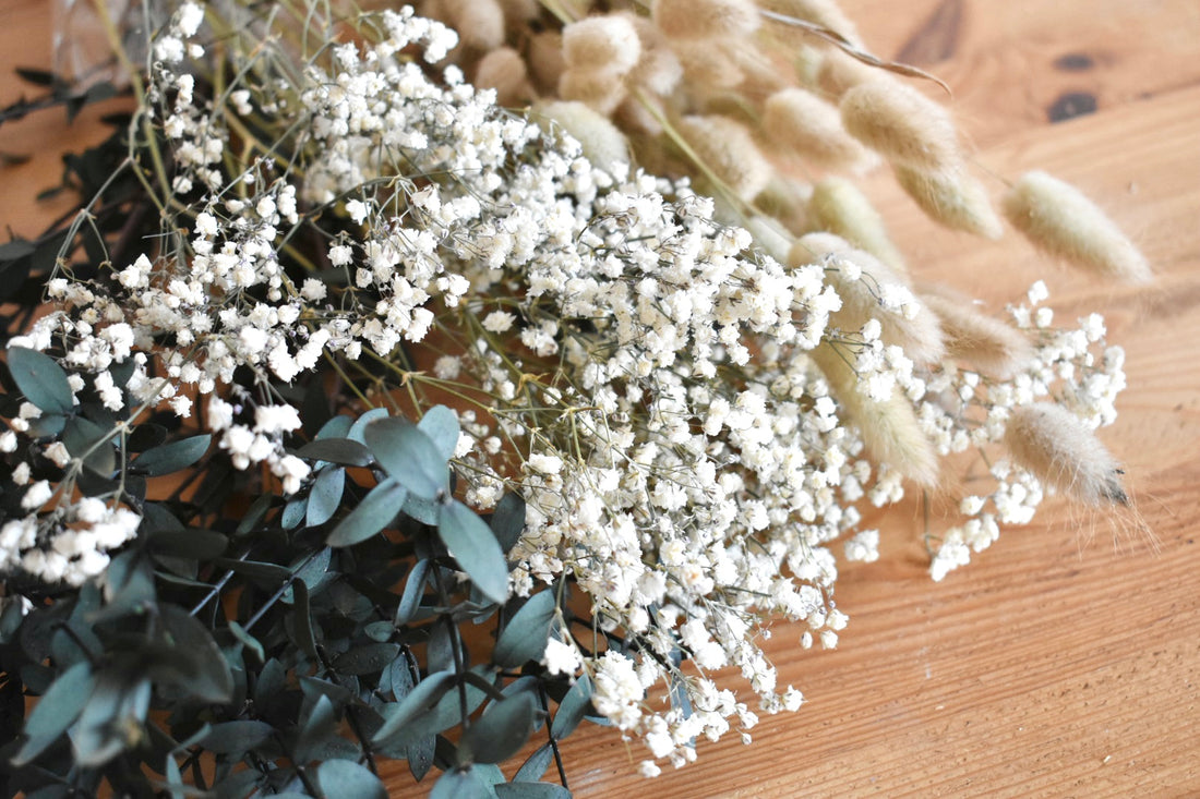 Dried Flowers - What you need to know