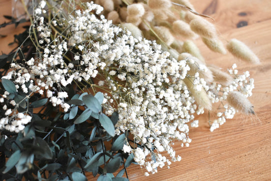 Dried Flowers - What you need to know
