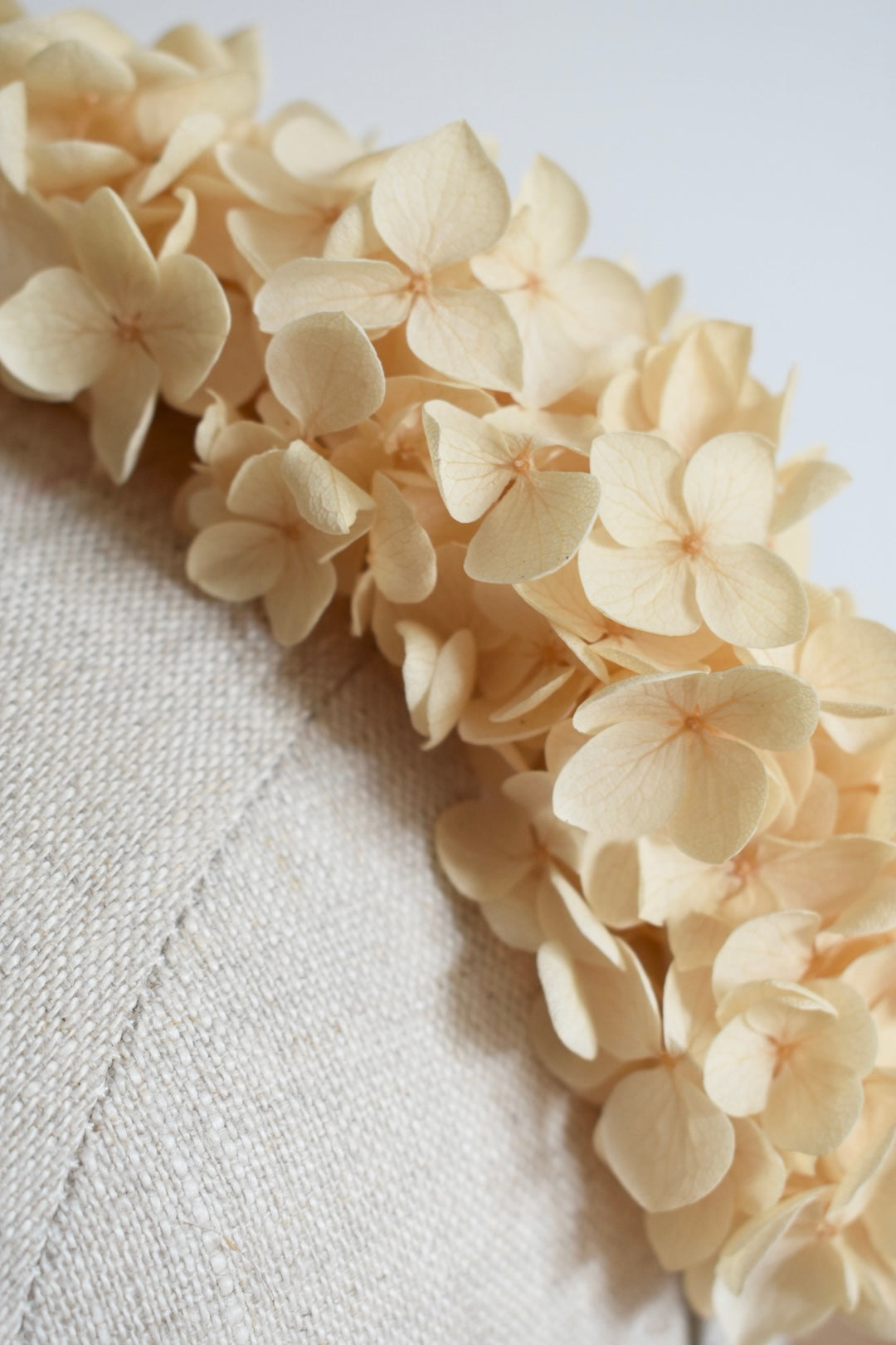 Hydrangea headband in champagne