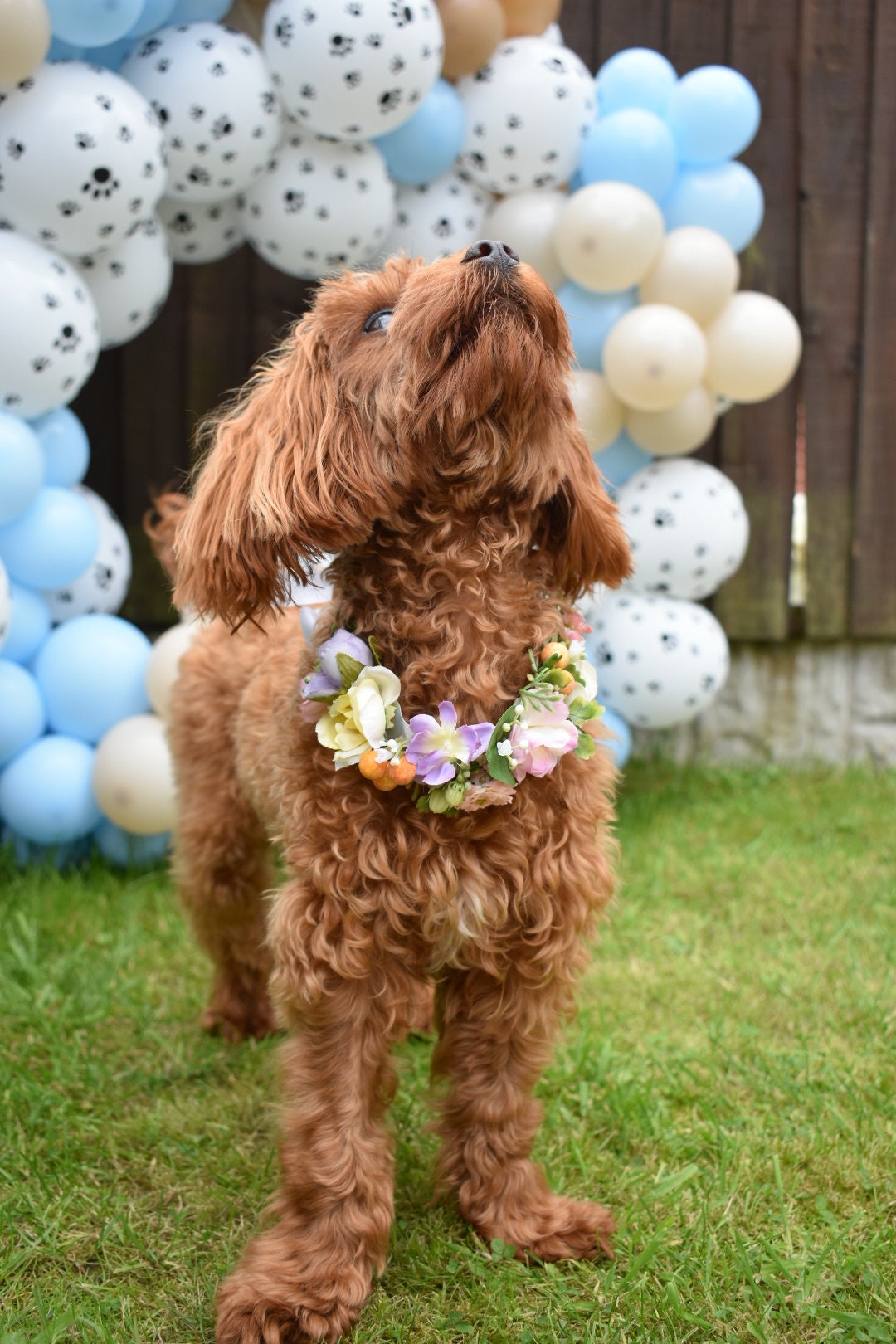 Floral pet collar