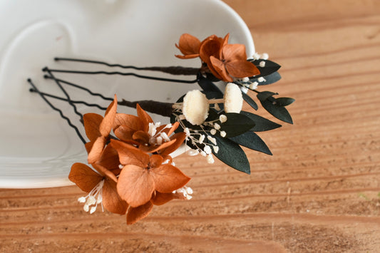 Wild Autumn: Terracotta Moon Hair Pins