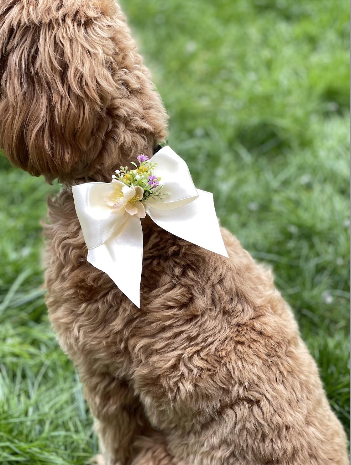 Floral bow pet accessory