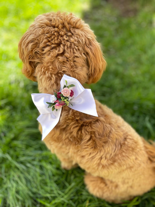 Pink floral bow pet accessory