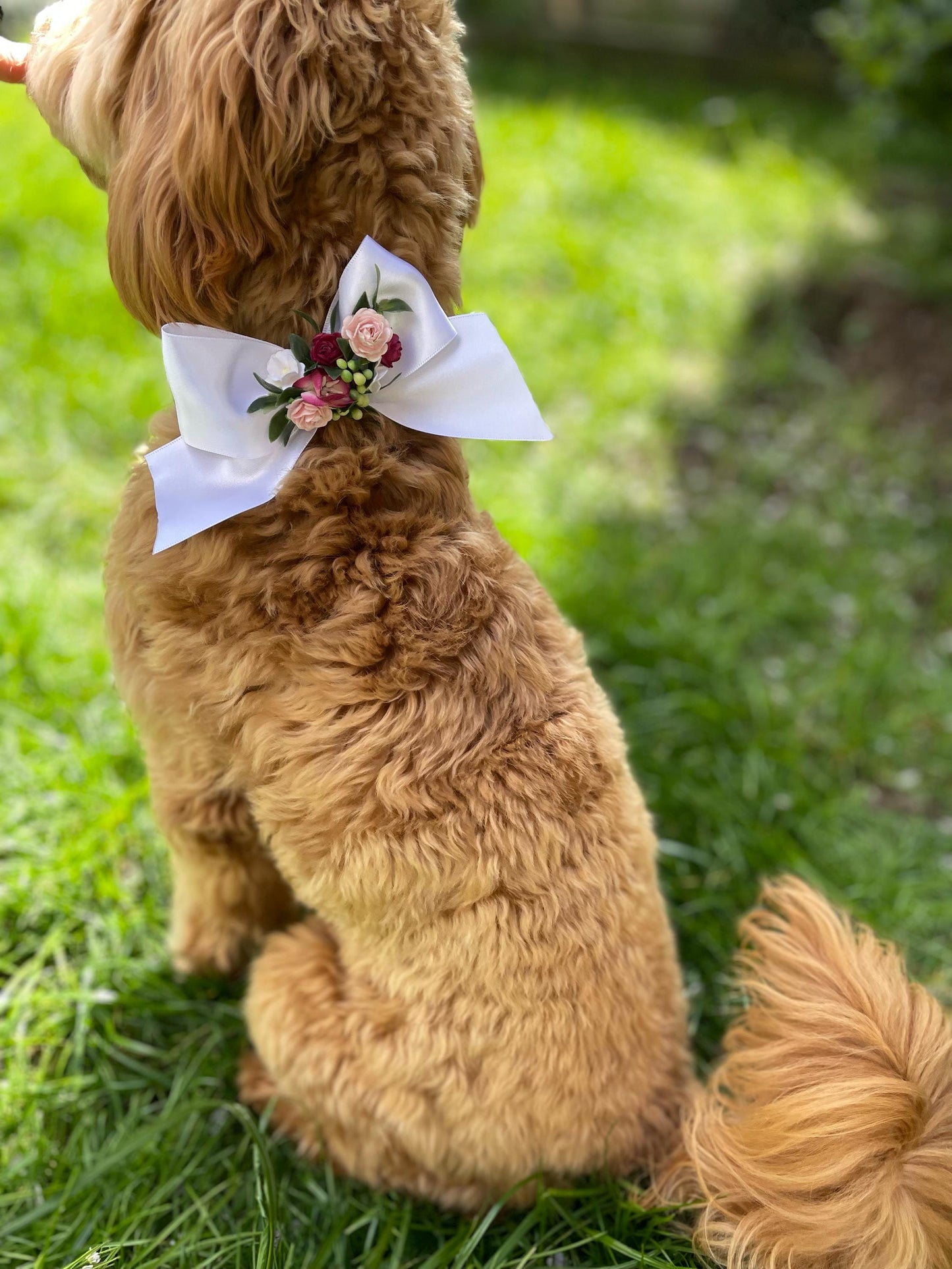 Pink floral bow pet accessory