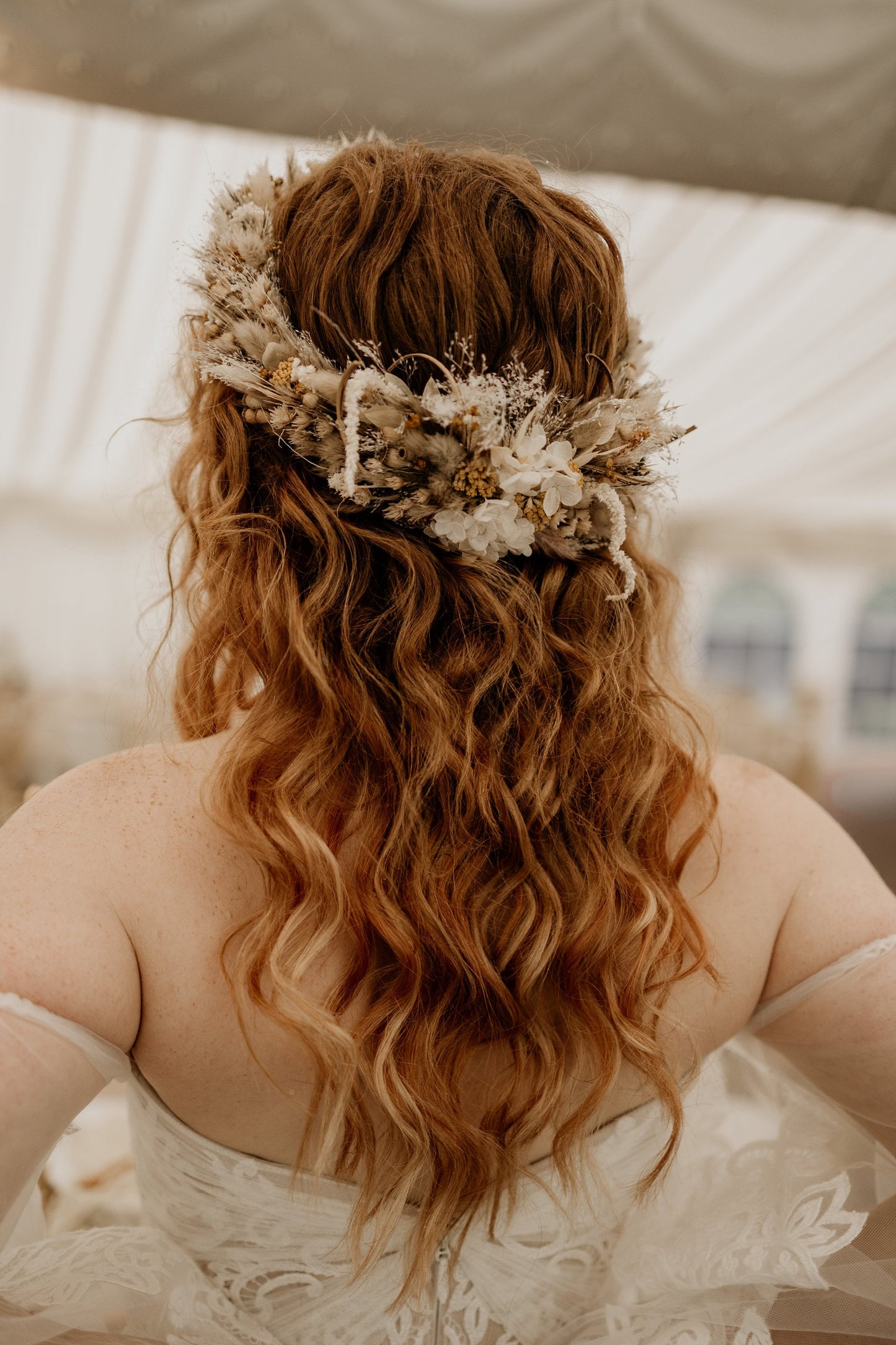 Large dried flower full crown